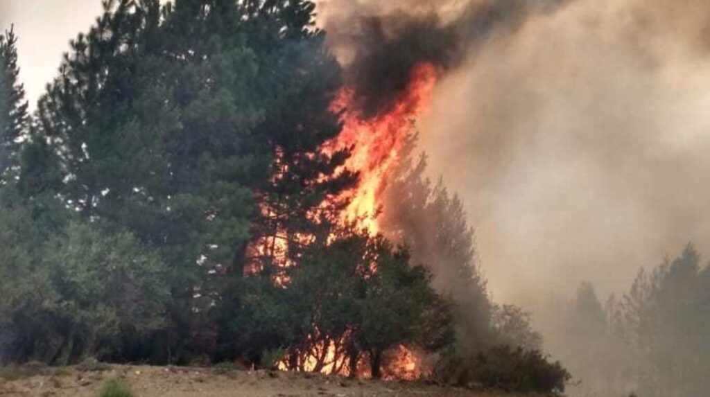 El incendio en El Bolsón ya consumió más de 10 mil hectáreas de bosques