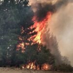 El incendio en El Bolsón ya consumió más de 10 mil hectáreas de bosques