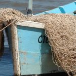 Proponen que se habilite la pesca comercial tres días a la semana