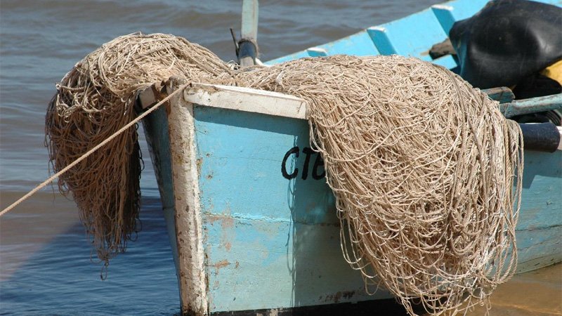 Proponen que se habilite la pesca comercial tres días a la semana