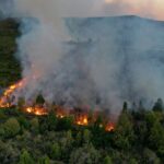 Un incendio fuera de control en Río Negro ya arrasó al menos 6500 hectáreas