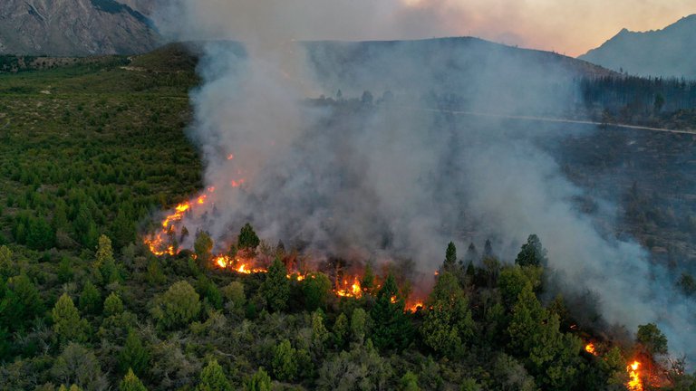 Un incendio fuera de control en Río Negro ya arrasó al menos 6500 hectáreas