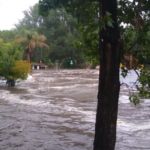 Un fuerte temporal causó “pérdidas millonarias” en Córdoba