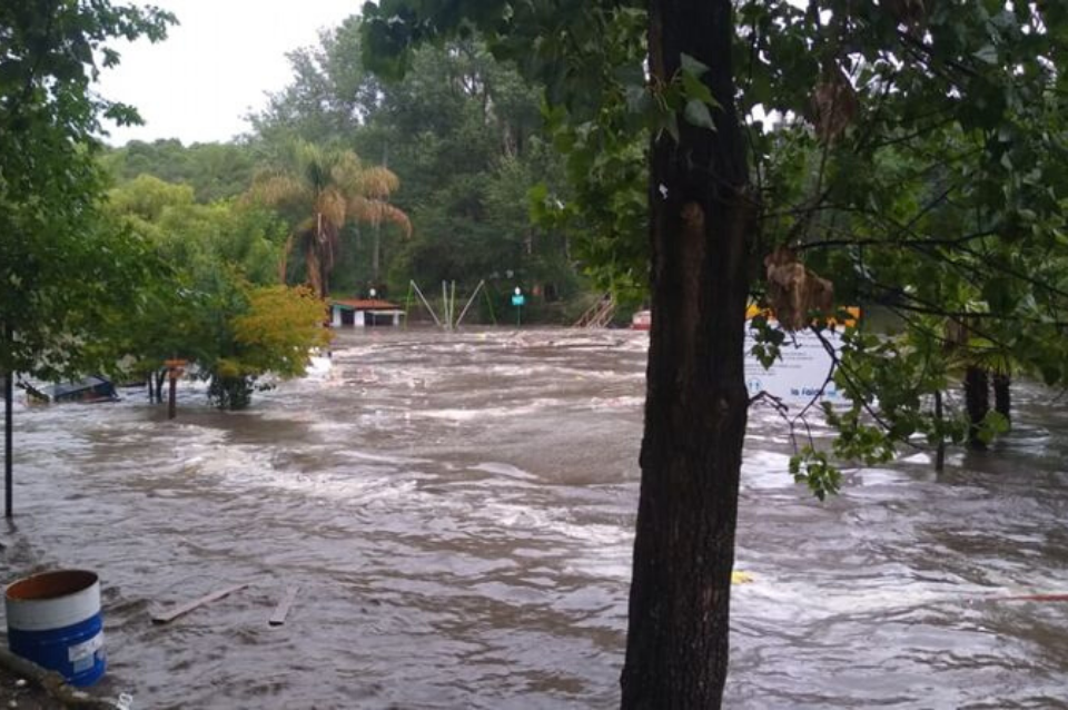 Un fuerte temporal causó “pérdidas millonarias” en Córdoba