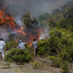 El daño ambiental en El Bolsón ya es el “más grande de la historia”