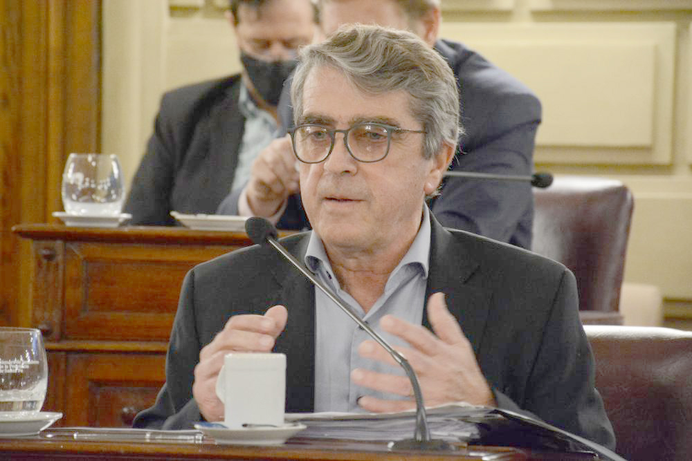 Traferri: “Algunos no nos callamos cuando pensamos distinto y eso molestó”