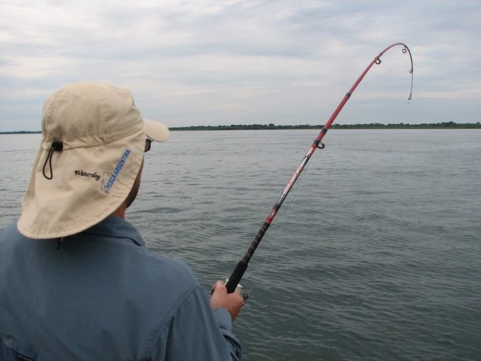 Santa Fe apeló el fallo judicial que impuso la veda para la pesca comercial y deportiva