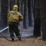 Brigadistas continúan combatiendo incendios forestales en Río Negro y Chubut