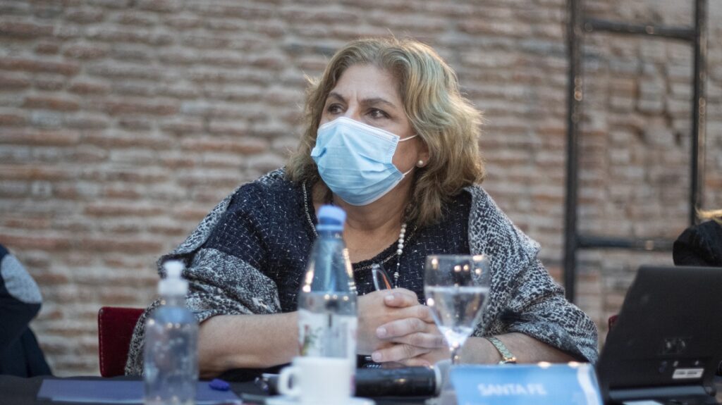 Santa Fe participó del Consejo Federal de Salud junto a Carla Vizzotti