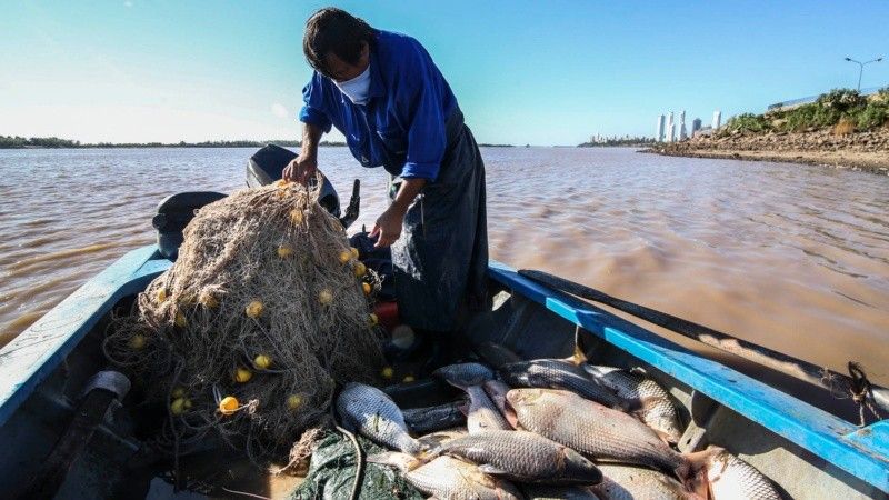 La provincia de Santa Fe suma un día más a la veda pesquera