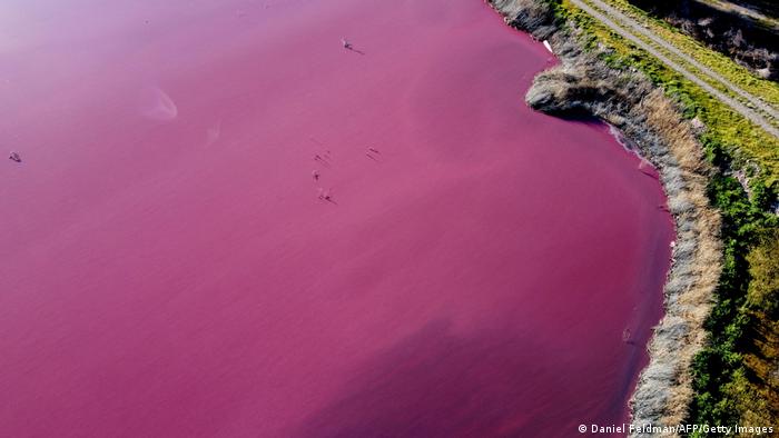 El lago Corfo de Chubut quedó teñido de rosa por la contaminación de la industria pesquera