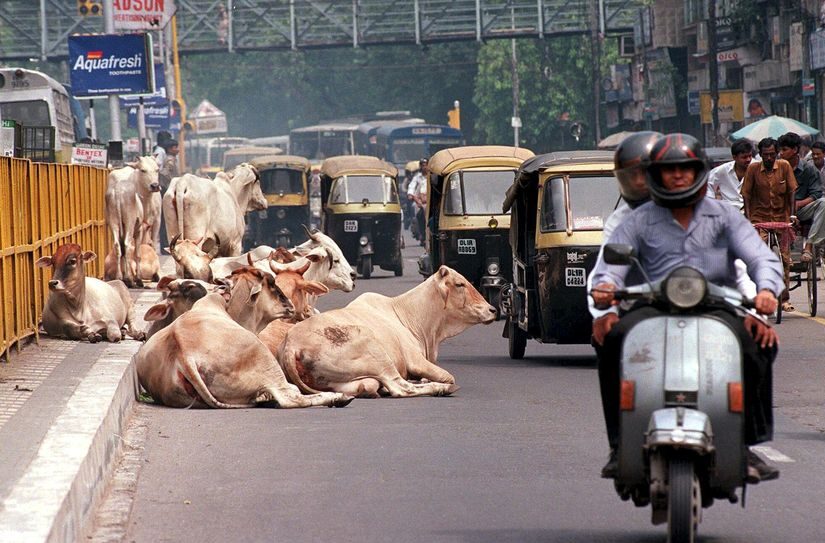 Argentina viviendo en la India: “Es el país más enquilombado y desastroso del mundo, pero me enseñó mucha paz”