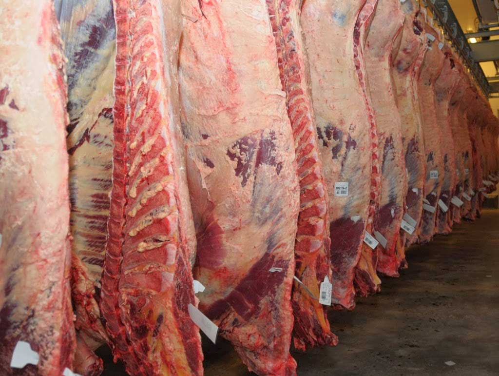 El consumo de carne vacuna, en el nivel más bajo de la historia