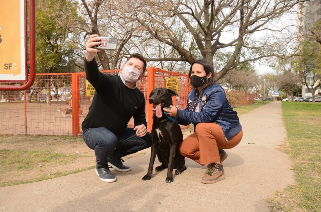 Castelló y Mudallel impulsan la creación de un Hospital Veterinario Público