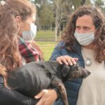 Laura Mondino: “La salud animal es una política pública en la ciudad”