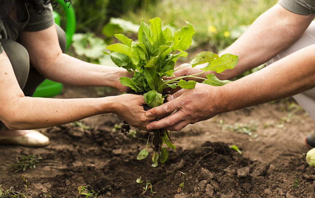 Aprobaron una ordenanza de promoción de la agroecología