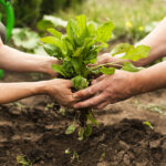 Aprobaron una ordenanza de promoción de la agroecología