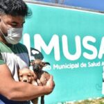 Alrededor de 120 perros y gatos rescatados esperan ser adoptados en el Imusa