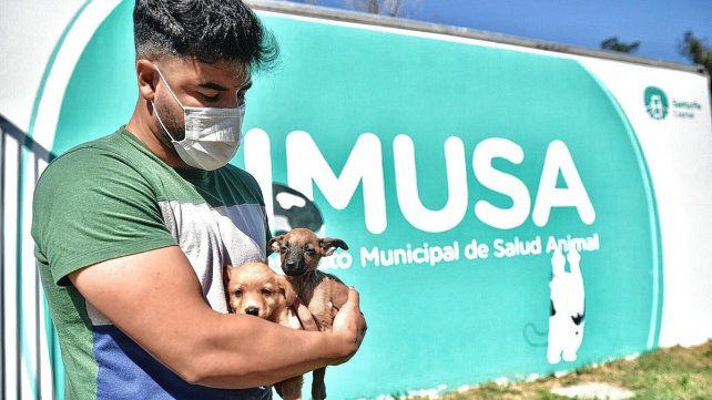 Alrededor de 120 perros y gatos rescatados esperan ser adoptados en el Imusa