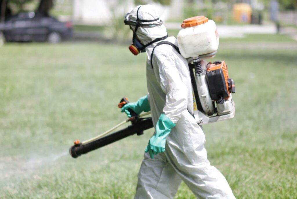 Trabajos de fumigación, iluminación y bacheo previstos para este jueves