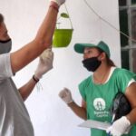 Dengue: El municipio realiza taras de descacharrado en barrios de la ciudad