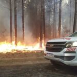 Incendio forestal cerca del Parque Nacional El Palmar arrasa más de 1.200 hectáreas