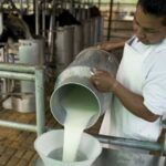 Santa Fe fortalece su producción láctea y se posiciona en el mercado nacional