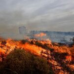 Incendios en Chubut: con más de 80 mil hectáreas arrasadas buscan que el fuego no llegue a la Península Valdés