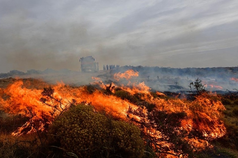 Incendios en Chubut: con más de 80 mil hectáreas arrasadas buscan que el fuego no llegue a la Península Valdés