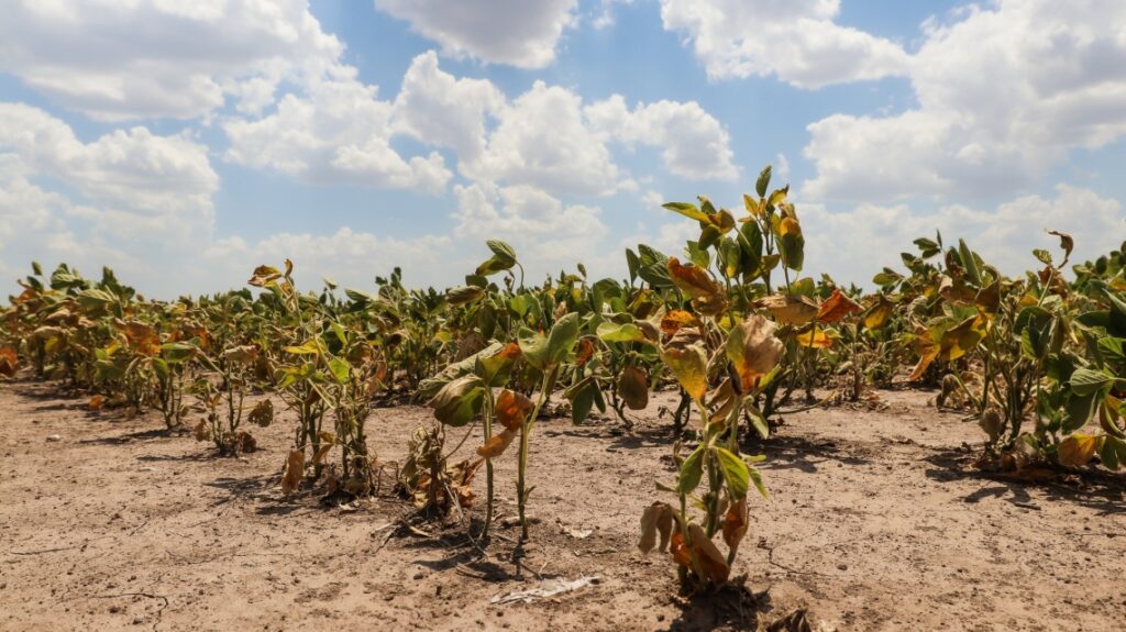 La provincia avanza en la implementación de la Emergencia Agropecuaria