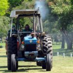 Trabajos de fumigación, iluminación y bacheo previstos para este lunes