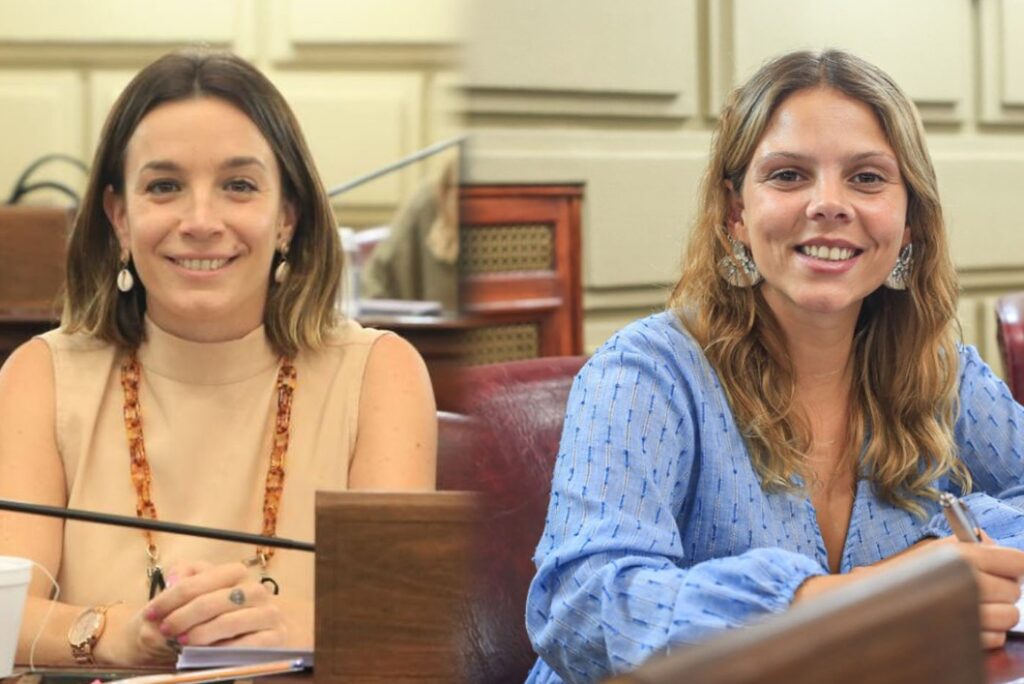 De Ponti y Mahmud presidirán la primera comisión de género en diputados