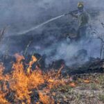 Los incendios en Corrientes se encuentran “controlados”