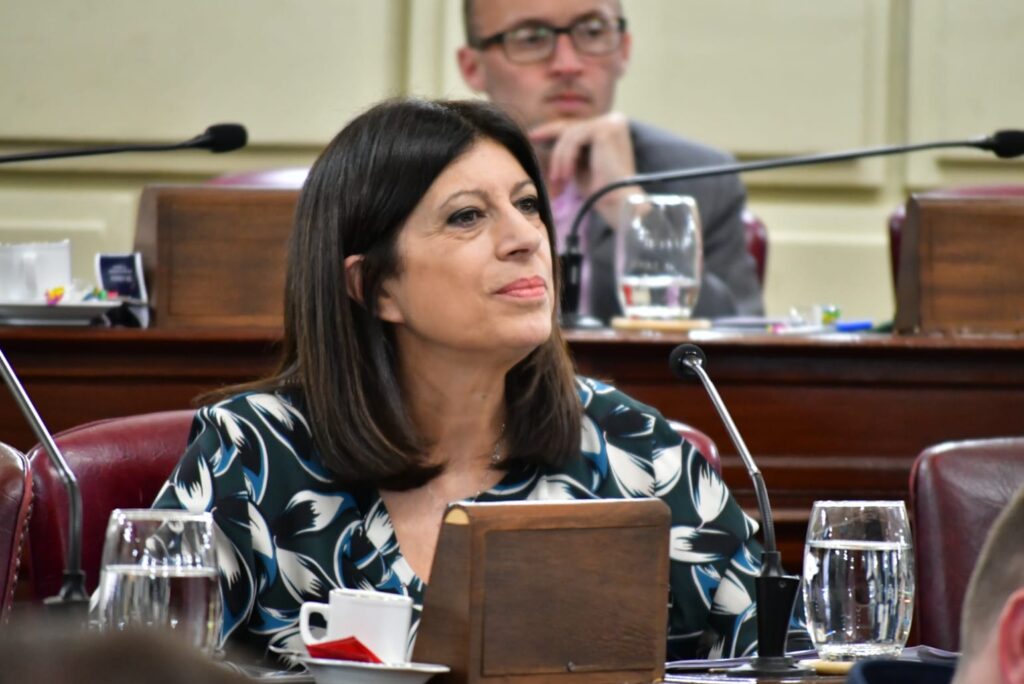 Luz y gas: Pidieron que la provincia de Santa Fe gestione una prórroga para solicitar los subsidios