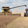 El Gobierno de Alberto Fernández fue el que más dólares recibió del agro