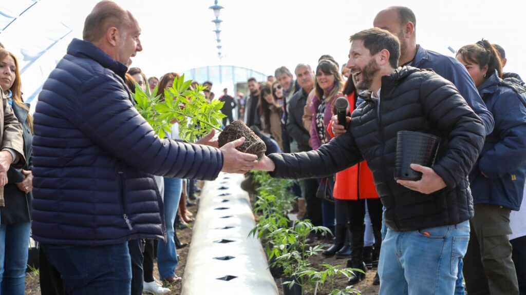 Plantación Cannabis medicinal: Perotti pidió “disculpas en nombre del Estado por haber demorado tanto”