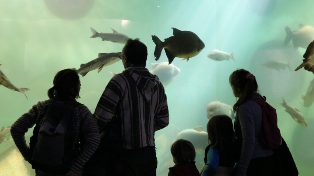 El Acuario del Río Paraná batió récord de visitas en vacaciones de invierno