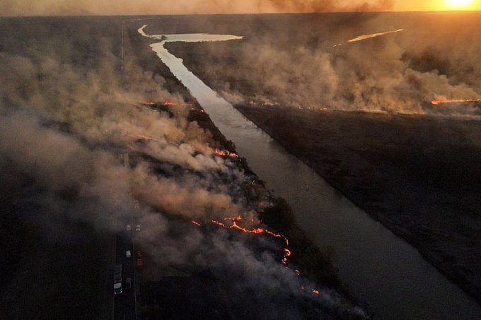 Por los incendios, las Fuerzas Armadas realizan tareas de apoyo en el Delta del Paraná