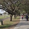 El Parque Federal ya cuenta con un sendero para peatones