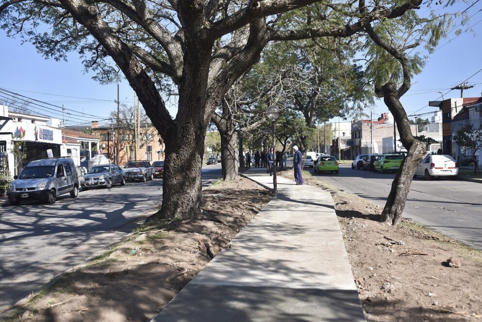 Avanza la transformación del nuevo Paseo Galicia