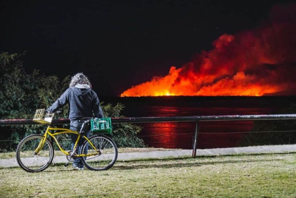 Por los incendios en Santa Fe, Diputados comenzará a debatir la ley de humedales