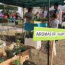 Con gran éxito se concretó la Feria de Emprendedores Verdes en Santo Tomé