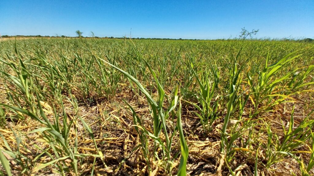 La provincia insta a avanzar en la nueva Ley de Emergencia Agropecuaria para dar respuestas efectivas al sector