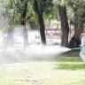 Cronograma de fumigación previsto por la Municipalidad