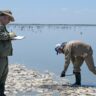 La provincia informó resultado de estudios sobre la mortandad de peces en la laguna del Plata