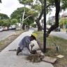 Las obras en avenida Galicia presentan un 35% de avance