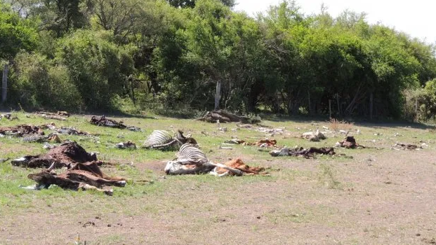 Por la sequía, piden que Santiago del Estero abra sus compuertas para que haya un caudal normal del río