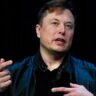 Elon Musk y miles de expertos pidieron hacer una “pausa” en los avances de la Inteligencia Artificial