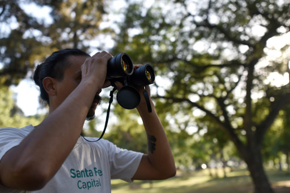 La Municipalidad realiza un relevamiento de biodiversidad urbana