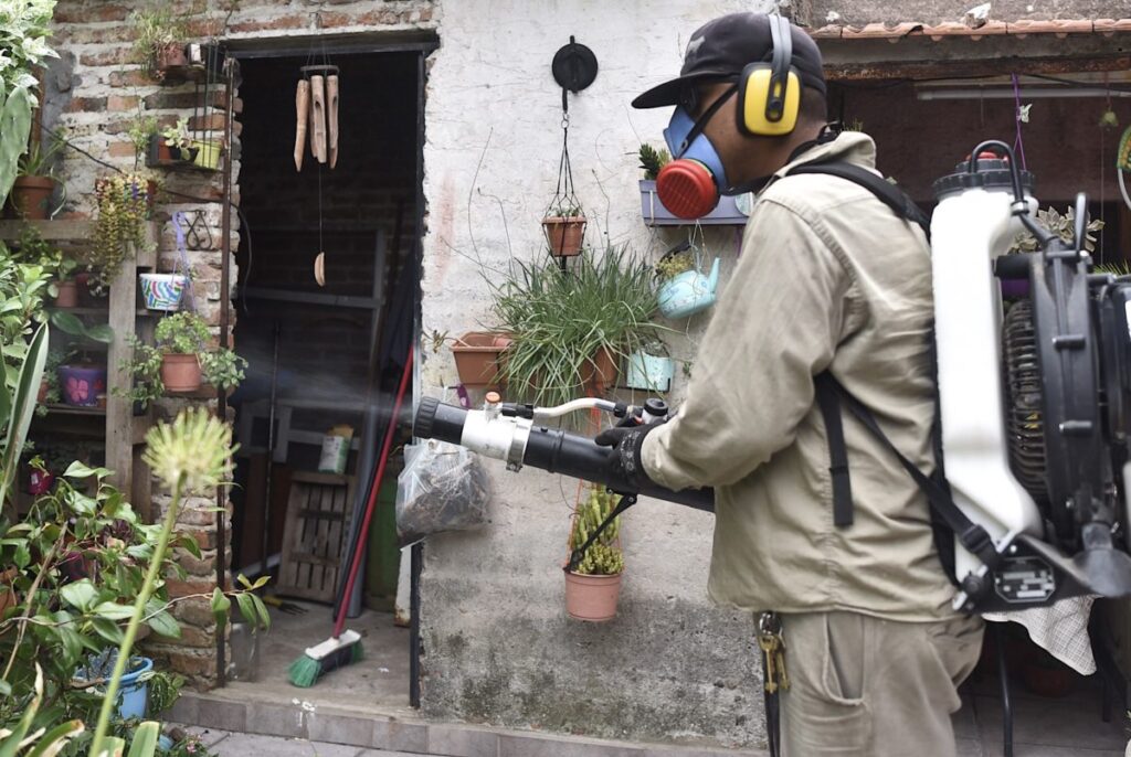 Dengue: desciende la cantidad de nuevos casos en la ciudad